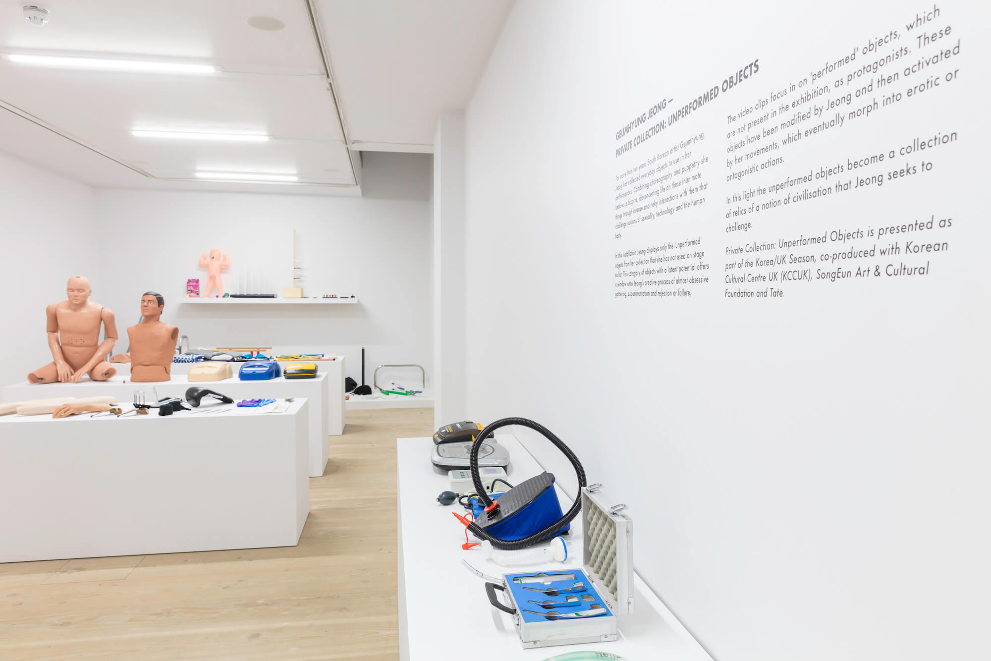 Geumhyung Jeong, Private Collection: Unperformed Objects, installation view, Delfina Foundation, London, 2017. Photo: Dan Weill